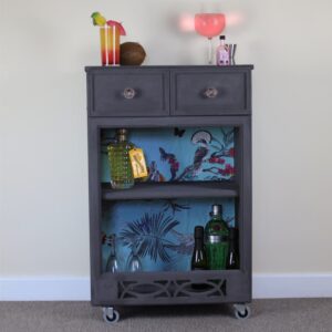 Upcycled Drinks Cabnet With Blue And Exotic Bird Detailing