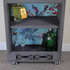 Upcycled Drinks Cabnet With Blue And Exotic Bird Detailing